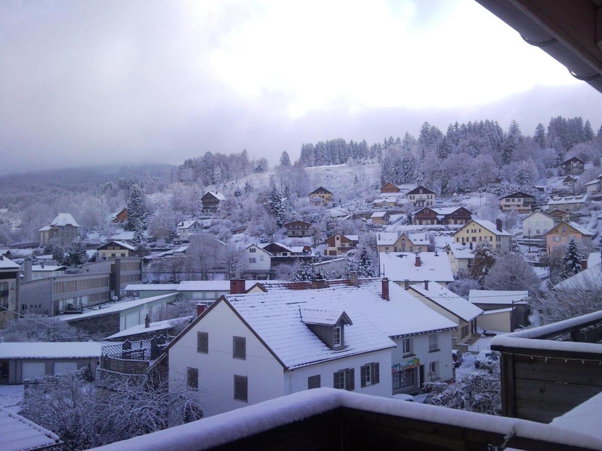 Tilleul Plaza Residence Gérardmer Zewnętrze zdjęcie
